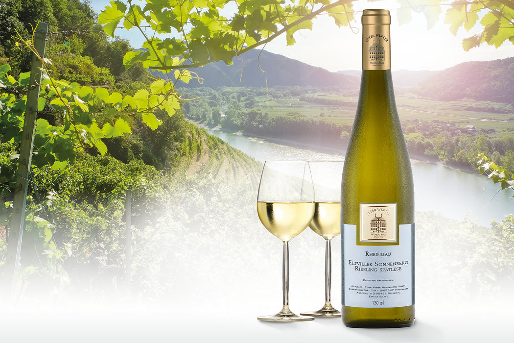 2019 Eltviller Sonnenberg  Riesling Spätlese, Peter Winter