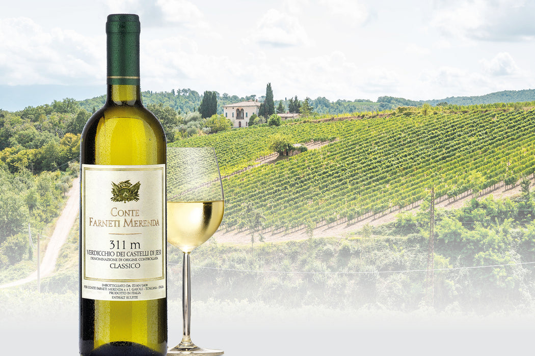 2021 "311 m" Verdicchio dei Castelli di Jesi Classico, Conte Farneti Merenda